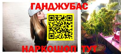 шишки Новокубанск