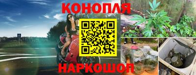 амфетамин Новодвинск